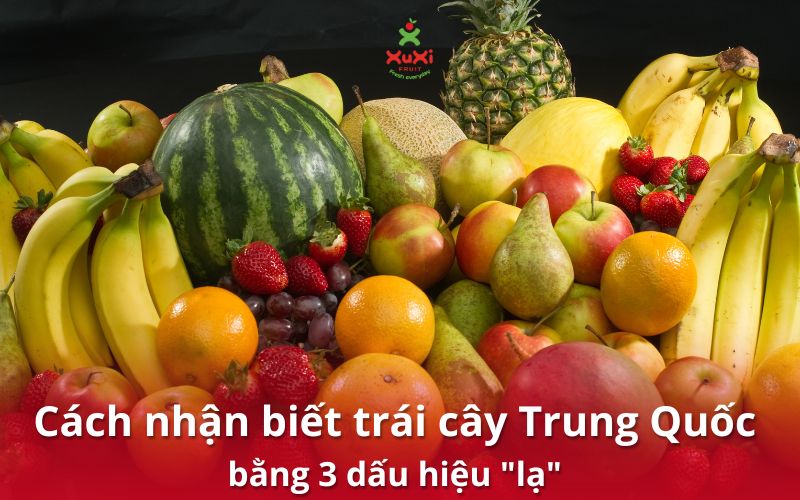 Cách nhận biết trái cây Trung Quốc: Hướng dẫn phân biệt chi tiết A-Z
