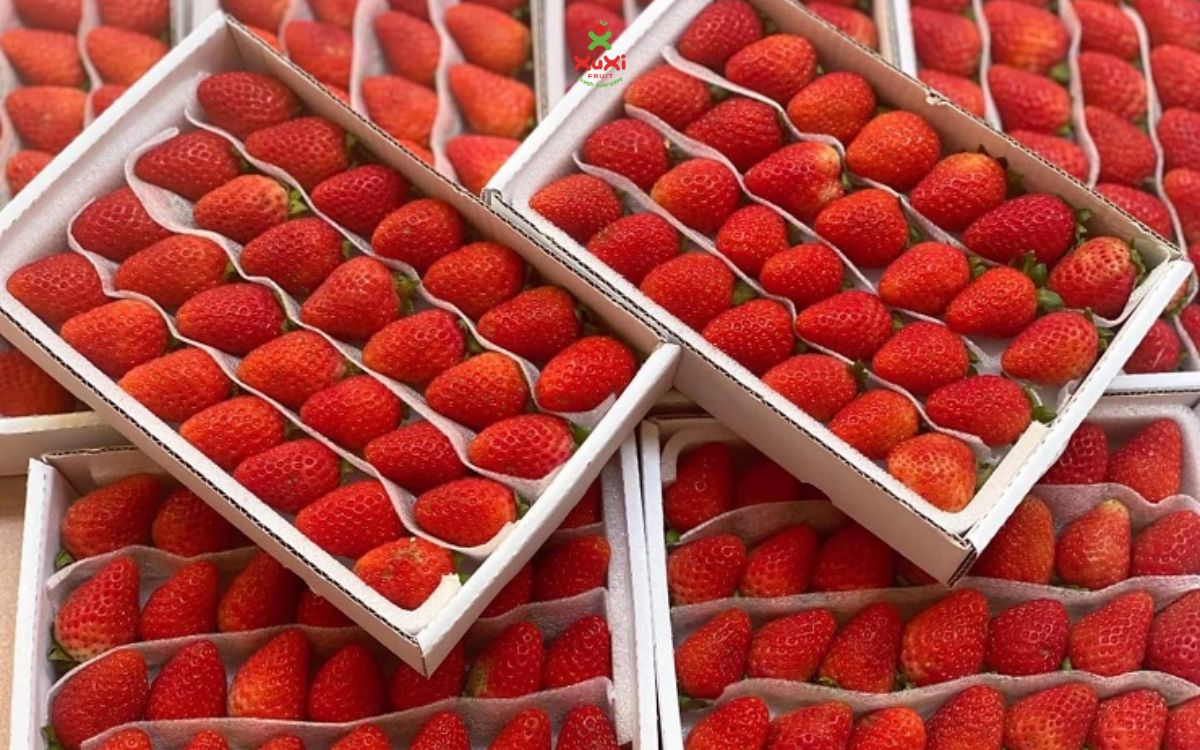 Nhận biết dâu tây Trung Quốc: màu và kích cỡ đồng đều từ cuống