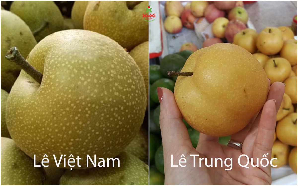 Sự khác nhau giữa lê Việt Nam và Trung Quốc