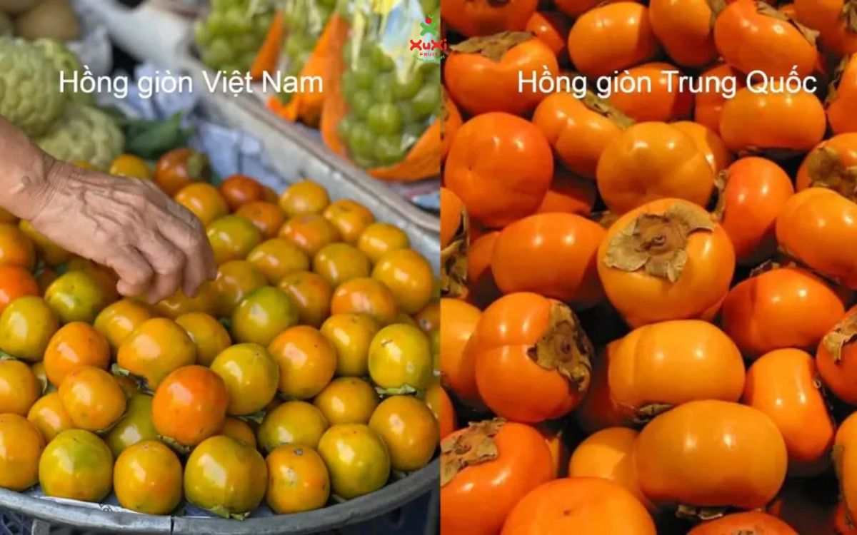 Nhận biết trái hồng của Trung Quốc