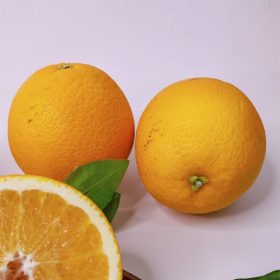 Cam Kính Đài Loan (Kg)