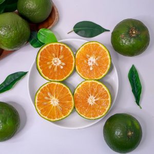 Cam sành Vĩnh Long-Size nhỏ