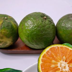 Cam sành Vĩnh Long-Size nhỏ