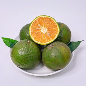 Cam sành Vĩnh Long-Size nhỏ