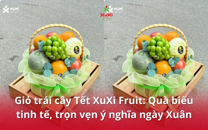 Giỏ trái cây Tết XuXi Fruit: Quà biếu tinh tế, trọn vẹn ý nghĩa ngày Xuân