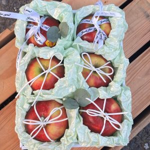 Hộp quà tặng trái cây XuXi - XH003