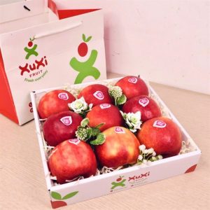Hộp quà tặng trái cây XuXi - XH007