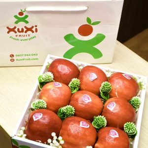 Hộp quà tặng trái cây XuXi - XH007