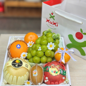Hộp quà tặng trái cây Xuxi – XH017 (Hộp)