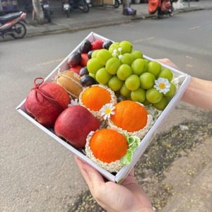 Hộp quà tặng trái cây Xuxi – XH020 (Hộp)