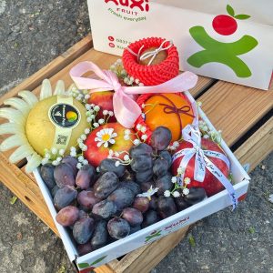 Hộp quà tặng trái cây XuXi - XH022
