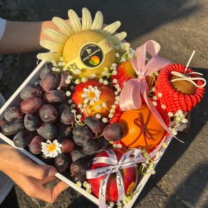 Hộp quà tặng trái cây XuXi - XH022