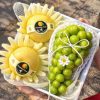 Hộp quà tặng trái cây Xuxi - XH023
