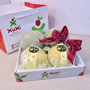 Hộp quà tặng trái cây Xuxi - XH002