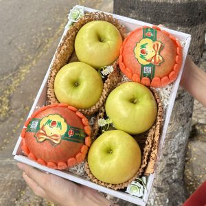 Hộp quà tặng trái cây Xuxi - XH004