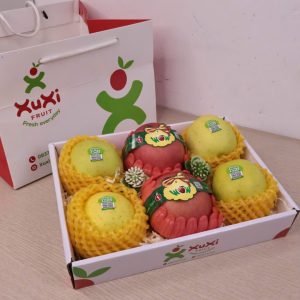 Hộp quà tặng trái cây Xuxi - XH004