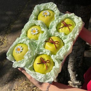 Hộp quà tặng trái cây XuXi - XH005