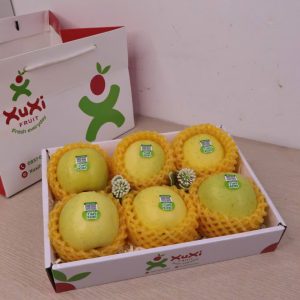 Hộp quà tặng trái cây XuXi - XH005