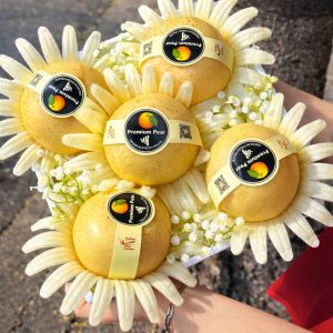 Hộp quà tặng trái cây XuXi - XH006