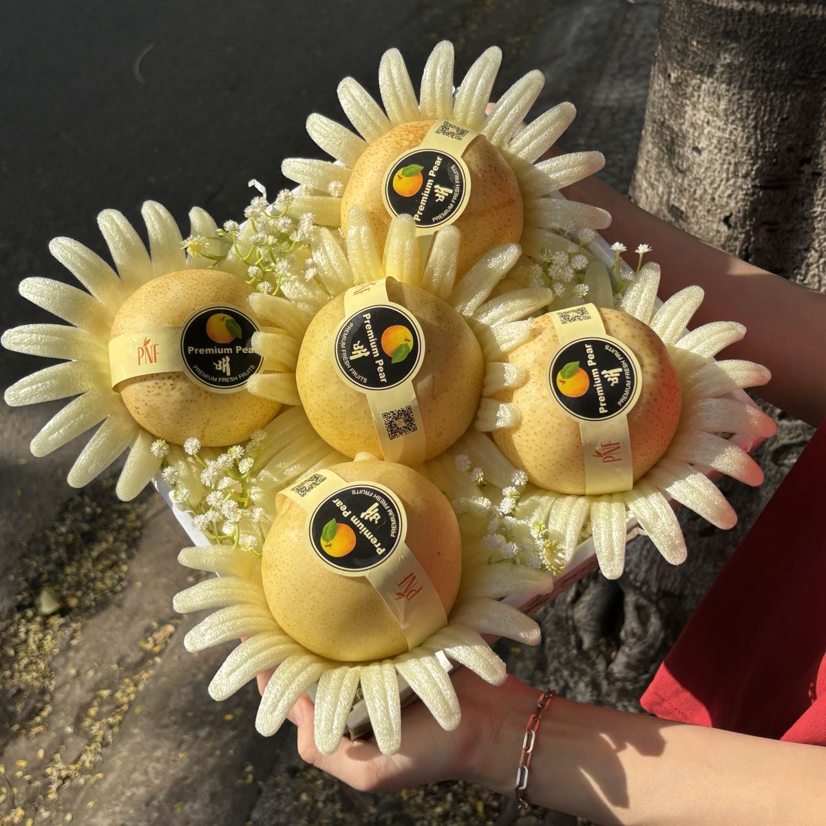 hop-qua-tang-trai-cay-xuxi-xh006-02 Hộp quà tặng trái cây XuXi - XH006