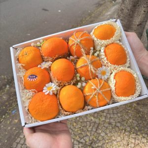 Hộp quà tặng trái cây Xuxi - XH009