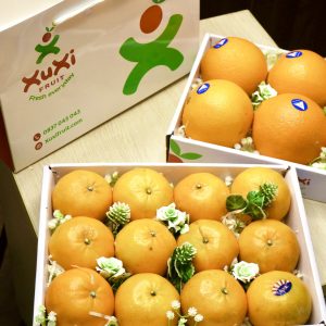 Hộp quà tặng trái cây Xuxi - XH009