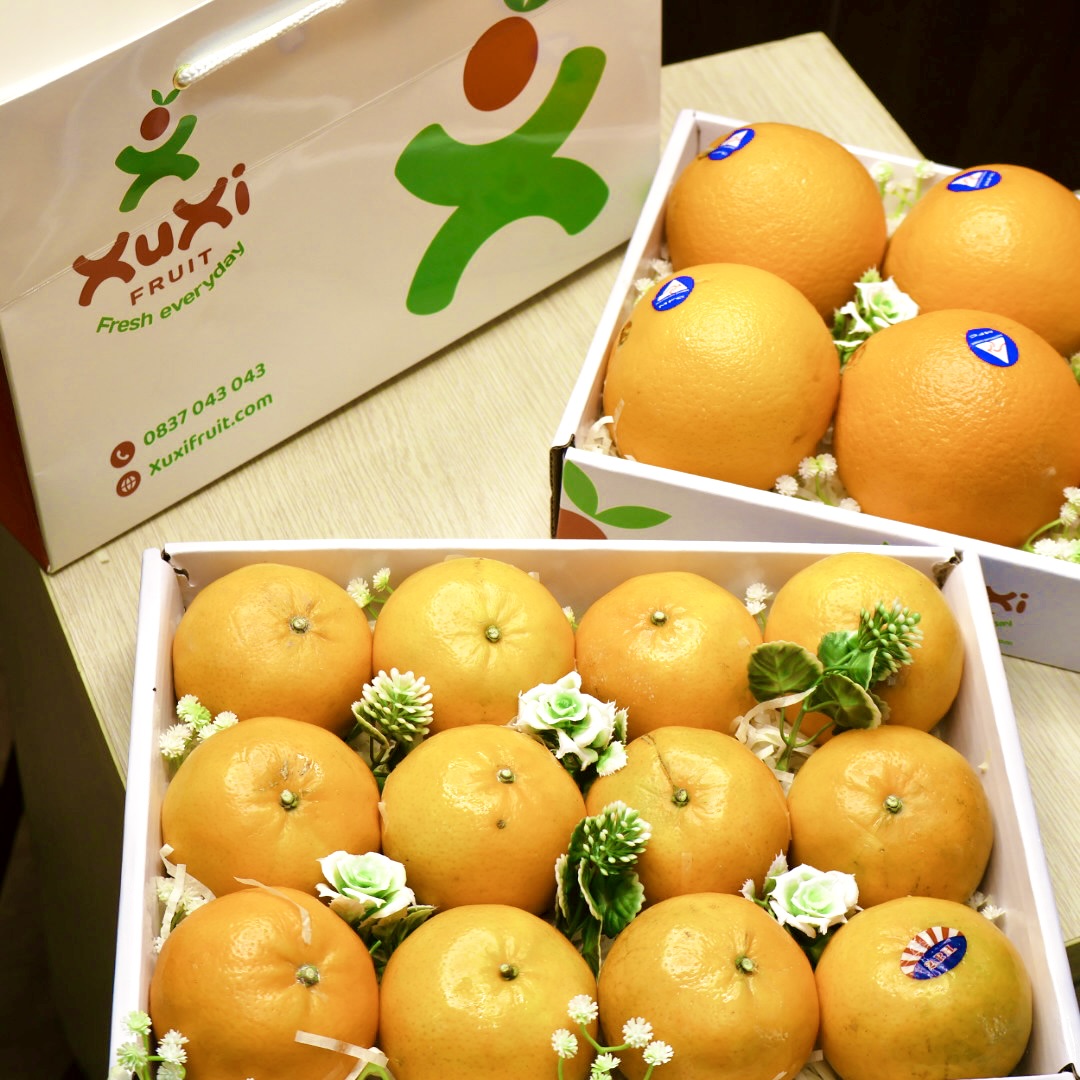 hop-qua-tang-trai-cay-xuxi-xh009-02 Hộp quà tặng trái cây Xuxi - XH009