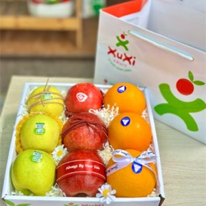 Hộp quà tặng trái cây Xuxi – XH014 (Hộp)