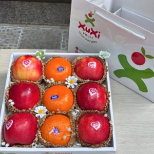 Hộp quà tặng trái cây Xuxi – XH015 (Hộp)