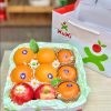 Hộp quà tặng trái cây Xuxi - XH016 (Hộp)