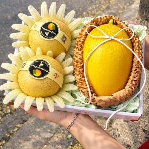 Hộp quà tặng trái cây XuXi - XH021