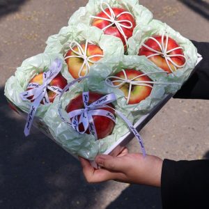 Hộp quà tặng trái cây XuXi - XH003