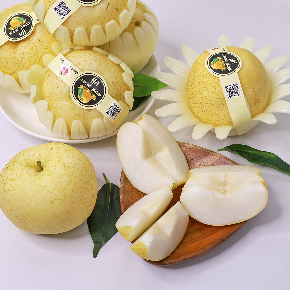 le-sua-han-quoc-s32-02 Lê sữa Hàn Quốc S32