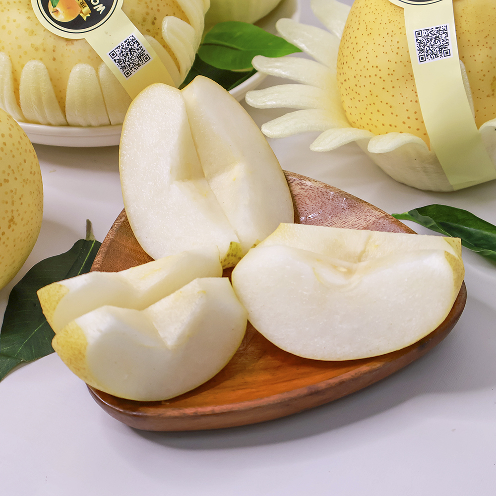 le-sua-han-quoc-s32-03 Lê sữa Hàn Quốc S32