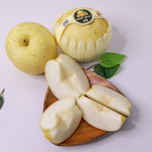 Lê sữa Hàn Quốc S32