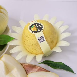 Lê sữa Hàn Quốc S32