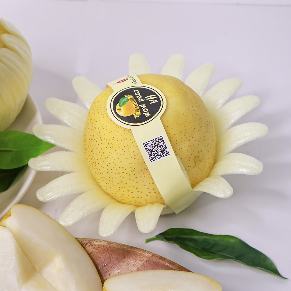 le-sua-han-quoc-s32-05 Lê sữa Hàn Quốc S32