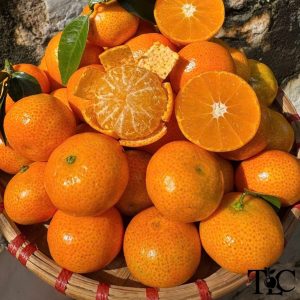 Quýt Thái (Kg)