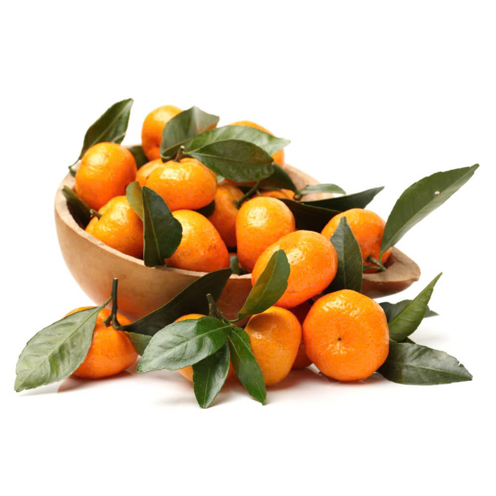 quyt-thai-03 Quýt Thái