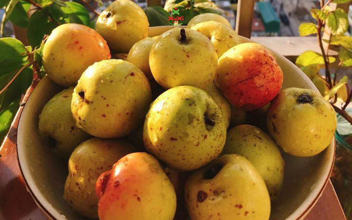 táo đỏ có tốt cho bà bầu