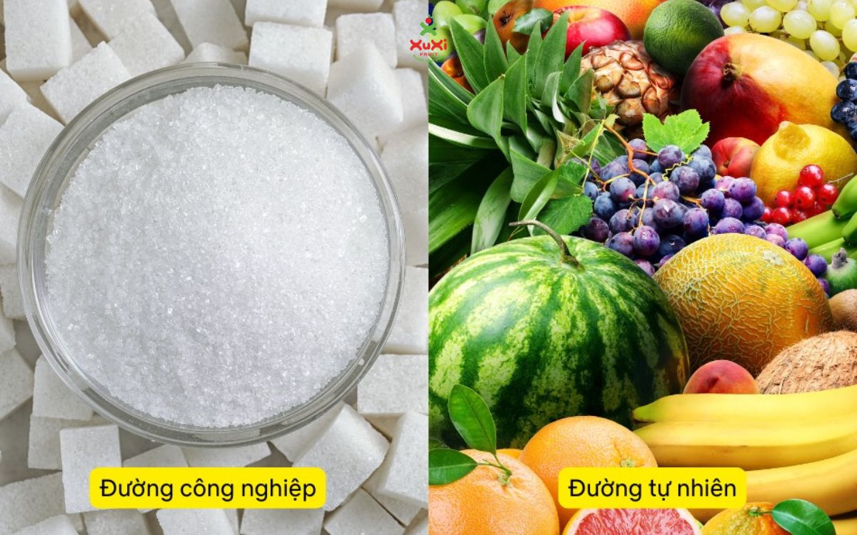 Đường tự nhiên có trong trái cây tốt cho hoạt động thể chất và trí não của trẻ