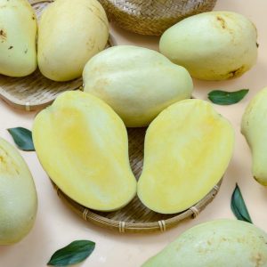 Xoài Tứ Quý da xanh Thạnh Phú - Bến Tre