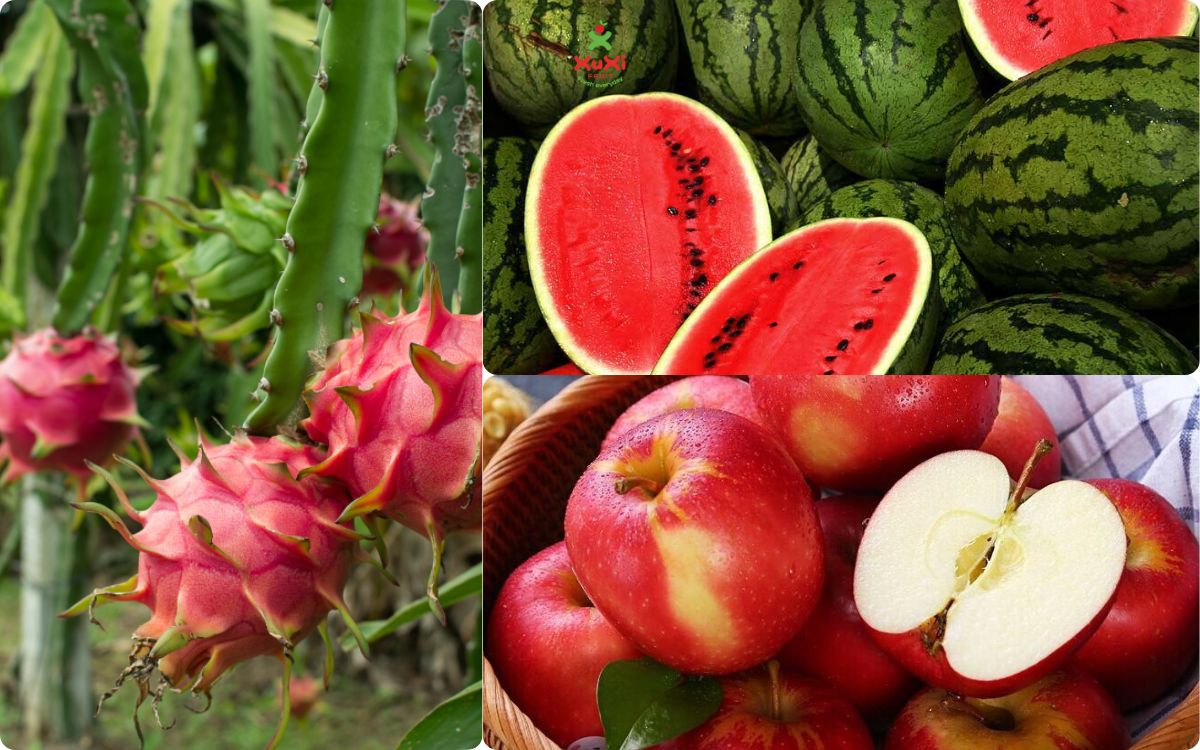 5 loại quả trong mâm ngũ quả