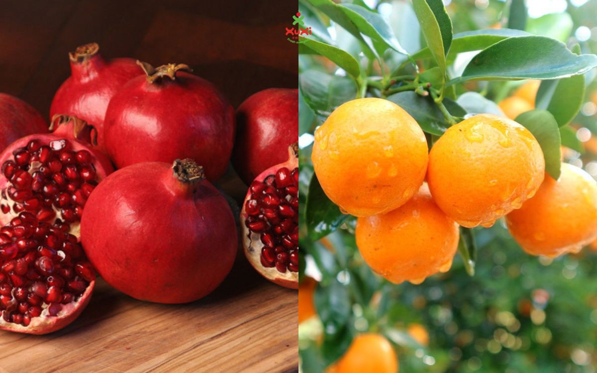 5 loại quả trong mâm ngũ quả