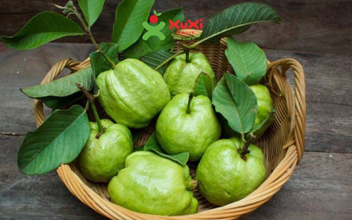 cách chọn ổi ngon