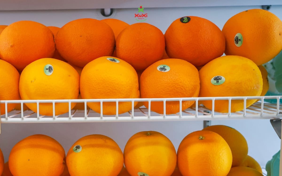 giỏ trái cây khai trương