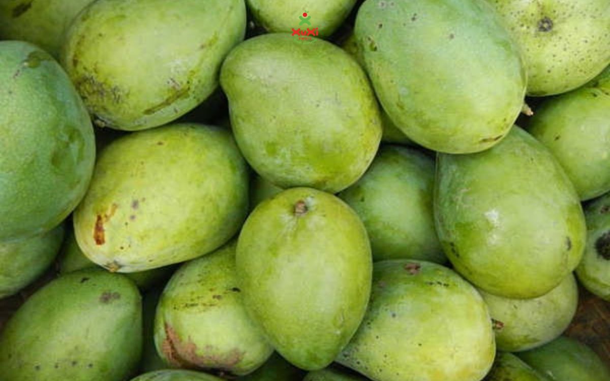 xoài có giúp giảm cân không